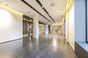Modern commercial interior with smooth gray flooring, structural columns, and large windows.
